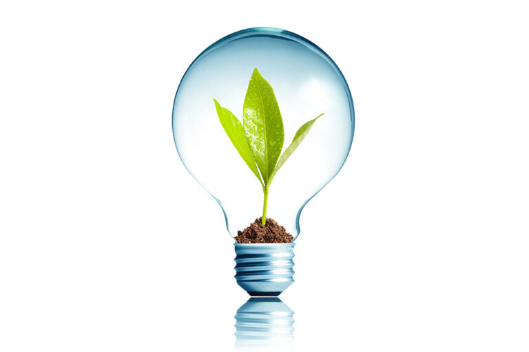 Image of a seedling inside a light bulb, representing fledgling ideas.